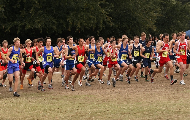 2010CIF XC BD5-0898.JPG - 2010 California CIF Cross Country Championships, Woodward Park, Fresno, California